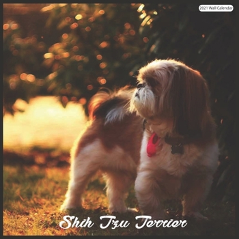Paperback Shih Tzu Terrier 2021 Wall Calendar: Official Shih Tzu Dogs 18 months 2021 Calendar Book
