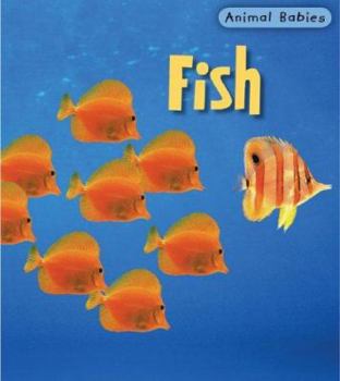 Library Binding Fish Book