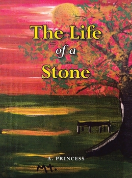 Hardcover The Life of a Stone Book