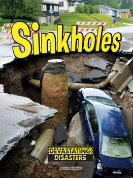 Paperback Sinkholes Book