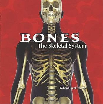 Paperback Bones: The Skeletal System Book