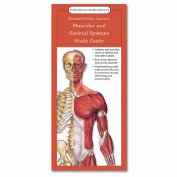 Paperback Anatomical Chart Company's Illustrated Pocket Anatomy: Muscular and Skeletal Systems Study Guide Book