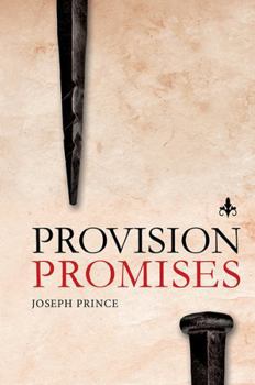 Hardcover Provision Promises Book