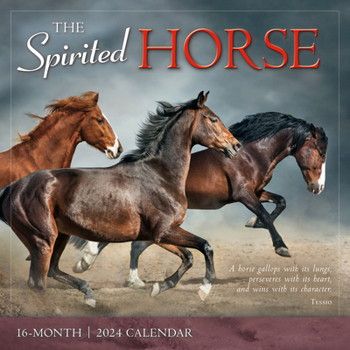 Office Product The Spirited Horse Book