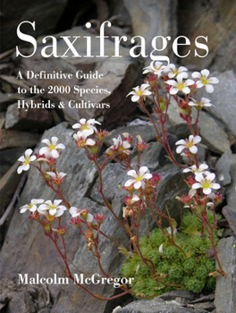 Hardcover Saxifrages: A Definitive Guide to 2000 Species, Hybrids & Cultivars Book
