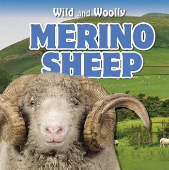 Paperback Merino Sheep Book