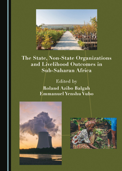 Hardcover The State, Non-State Organizations and Livelihood Outcomes in Sub-Saharan Africa Book
