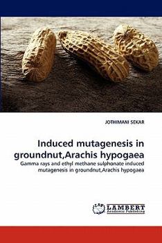 Paperback Induced Mutagenesis in Groundnut, Arachis Hypogaea Book