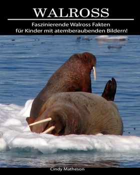 Walross: Faszinierende Walross Fakten f�r Kinder mit atemberaubenden Bildern!