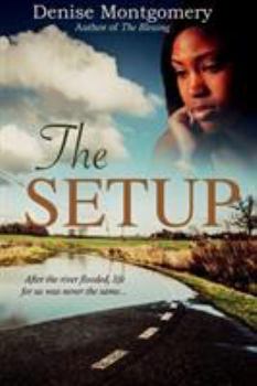 Paperback The Setup Book