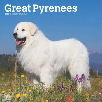 Calendar Great Pyrenees 2025 12 X 24 Inch Monthly Square Wall Calendar Plastic-Free Book