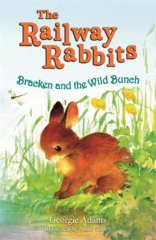 Bracken and the Wild Bunch - Book #11 of the Railway Rabbits