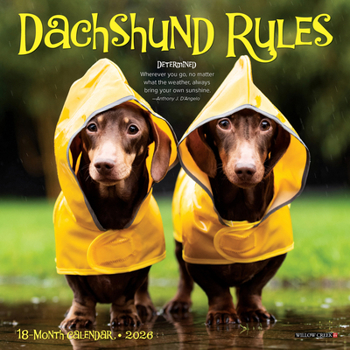 Mini-Disc Dachshund Rules 2026 Mini Wall Calendar Book