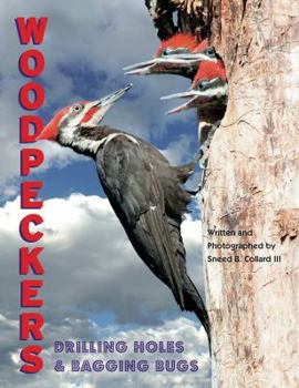Hardcover Woodpeckers: Drilling Holes and Bagging Bugs Book