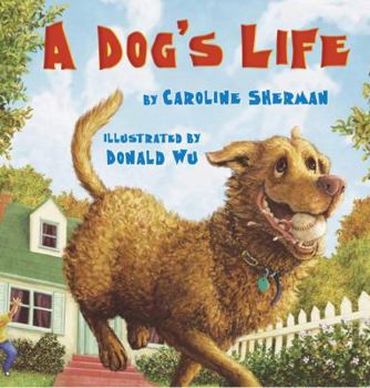 Hardcover A Dog's Life Book