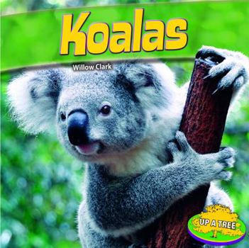 Library Binding Koalas Book