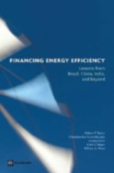 Paperback Financing Energy Efficiency: Lessons from Brazil, China, India, and Beyond Book
