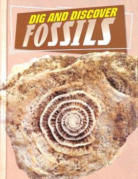Hardcover Dig and Discover Fossils (Rock Your World) Book
