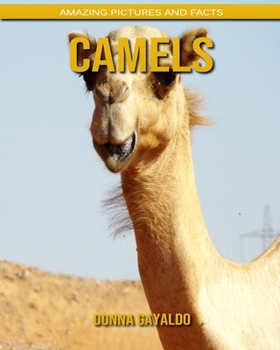 Paperback Camels: Amazing Pictures and Facts Book