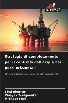 Paperback Strategia di completamento per il controllo dell'acqua nei pozzi orizzontali [Italian] Book