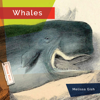 Library Binding Whales Book