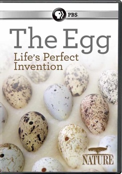 DVD Nature: The Egg - Life's Perfect Invention Book