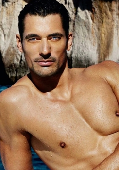 David Gandy Diary