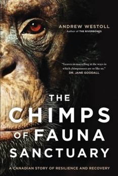 Hardcover Chimps of Fauna Sanctuary Book