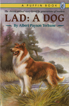 Paperback Lad: A Dog Book