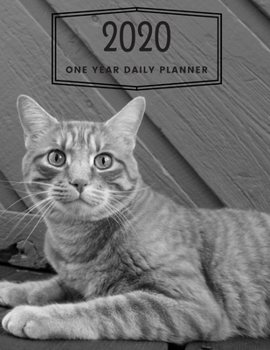 Paperback 2020 One Year Daily Planner: Beautiful Kitty Cat Themed - Day Planner Journal Notebook Book