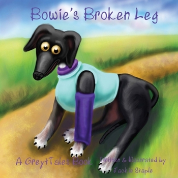 Paperback Bowie's Broken Leg Book