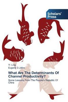 Paperback What Are the Determinants of Channel Productivity? Book