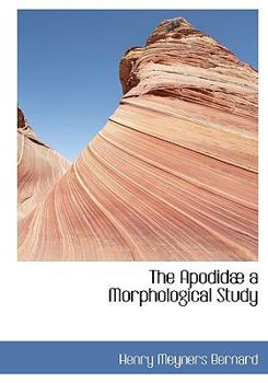 The Apodid? a Morphological Study