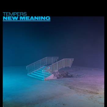 Vinyl New Meaning Book