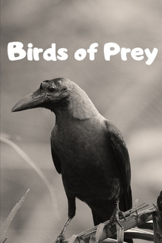 Paperback Birds of Prey: Writing journal/ Composition Notebook / Journal / Diary / Birds of Prey Book