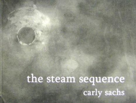 Paperback The Steam Sequence Book