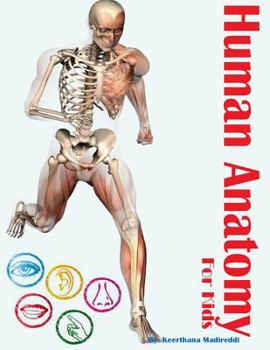 Paperback Human Anatomy for Kids Book