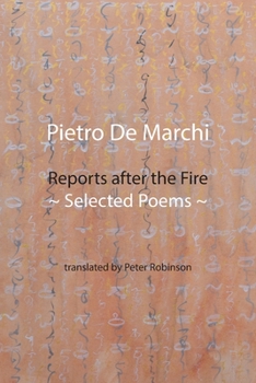 Paperback Reports after the Fire: Selected Poems Book