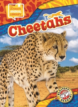 Library Binding Cheetahs Book