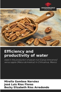 Paperback Efficiency and productivity of water Book