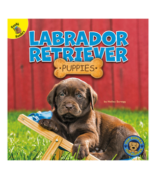 Hardcover Labrador Retriever Puppies Book