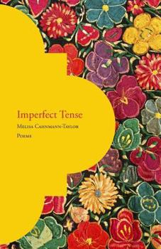 Paperback Imperfect Tense Book