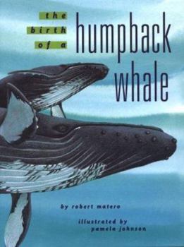 Hardcover The Birth of a Humpback Whale Book