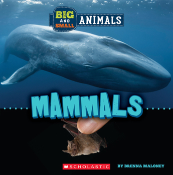 Paperback Mammals (Wild World: Big and Small Animals) Book