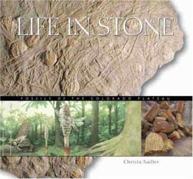 Paperback Life in Stone: Fossils of the Colorado Plateau Book