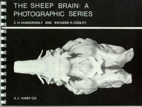Spiral-bound The Sheep Brain: A Photographic Series Book
