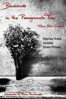 Paperback Blackbirds in the Pomegranate Tree: Stories from Ixcotel State Prison Book