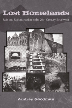 Hardcover Lost Homelands: Ruin and Reconstruction in the 20th-Century Southwest Book