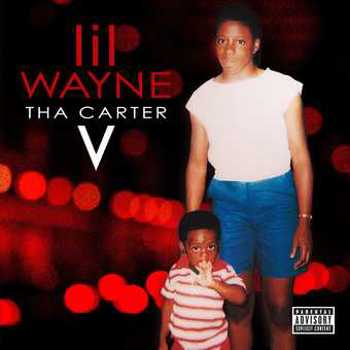 Vinyl Tha Carter V (2 LP) Book