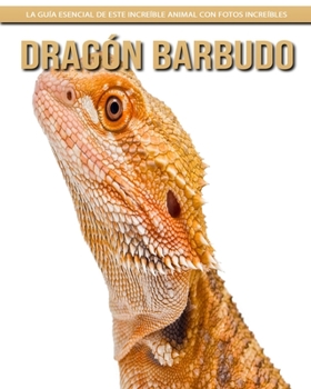 Drag?n barbudo: La gu?a esencial de este incre?ble animal con fotos incre?bles